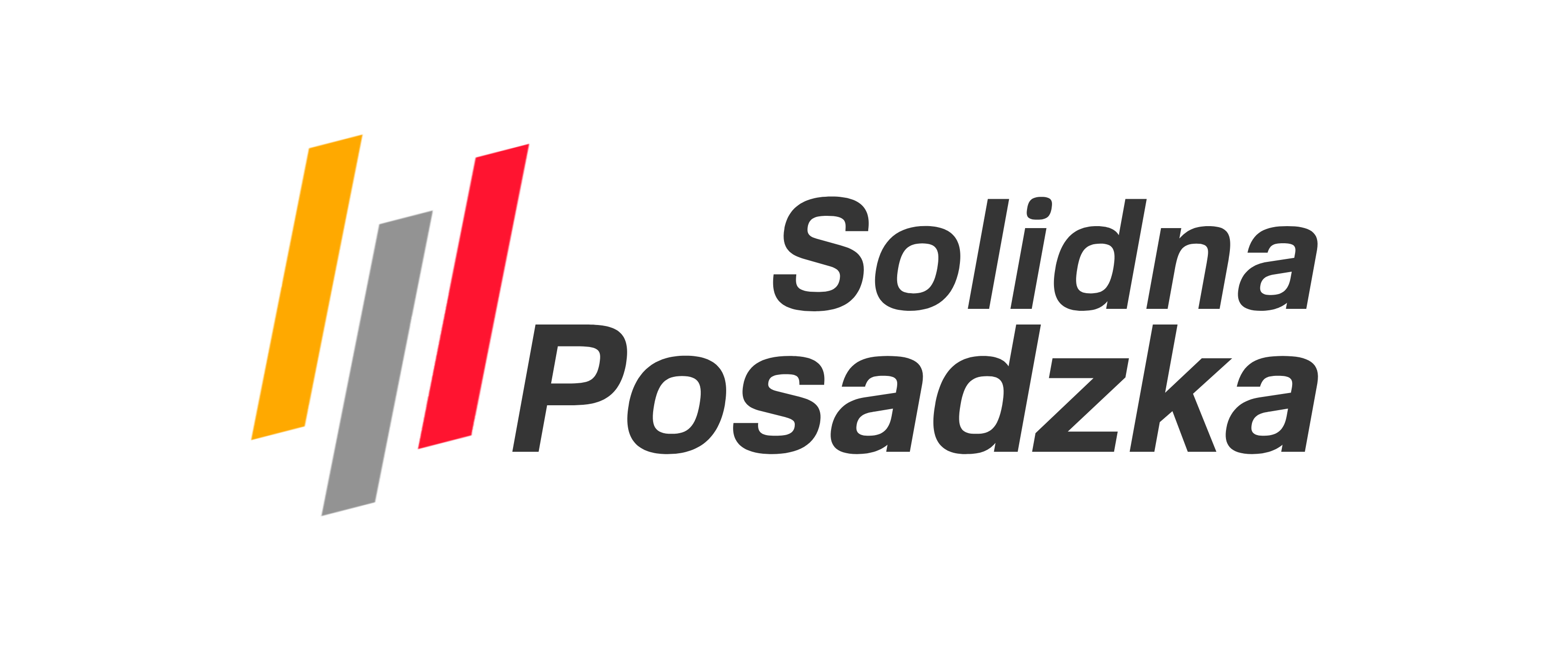 Solidna posadzka - logo